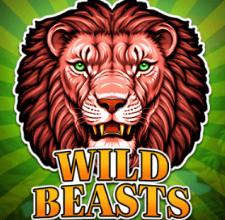 Popular slot game 11